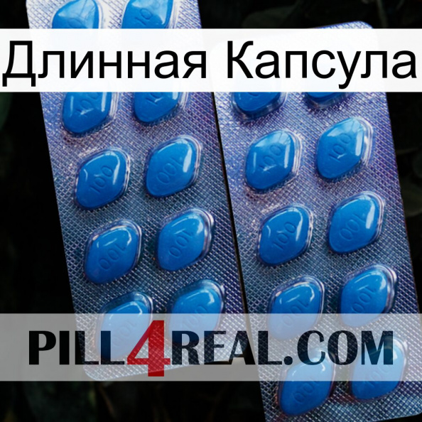 Длинная Капсула viagra2.jpg